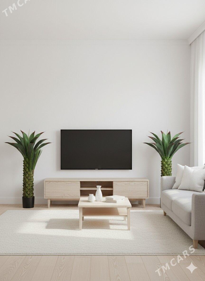 suvnir agac - Aşgabat - img 3