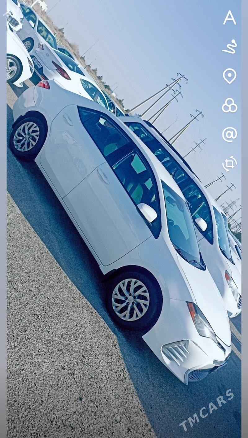 Toyota Corolla 2017 - 198 000 TMT - Бузмеин ГРЭС - img 3