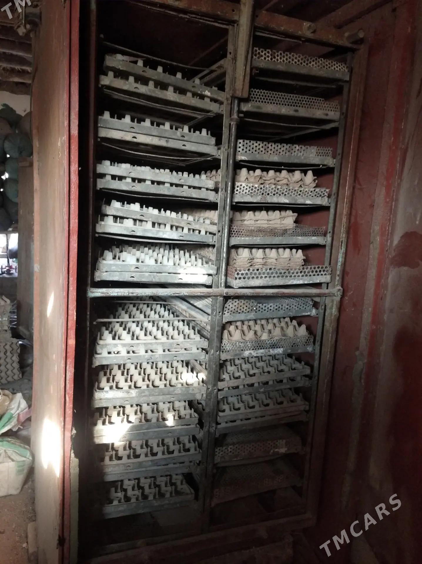 inkubator - Губадаг - img 4