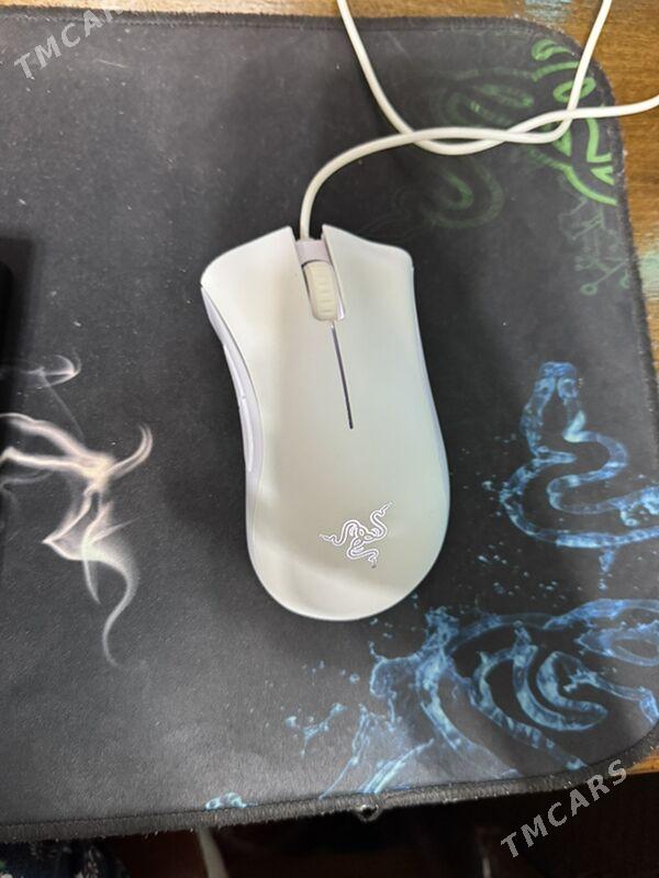 razer deathadder essential - Aşgabat - img 2