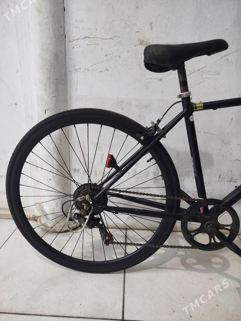 welik - Mary - img 1