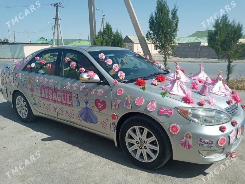 maşyn bezegler - Büzmeýin - img 9