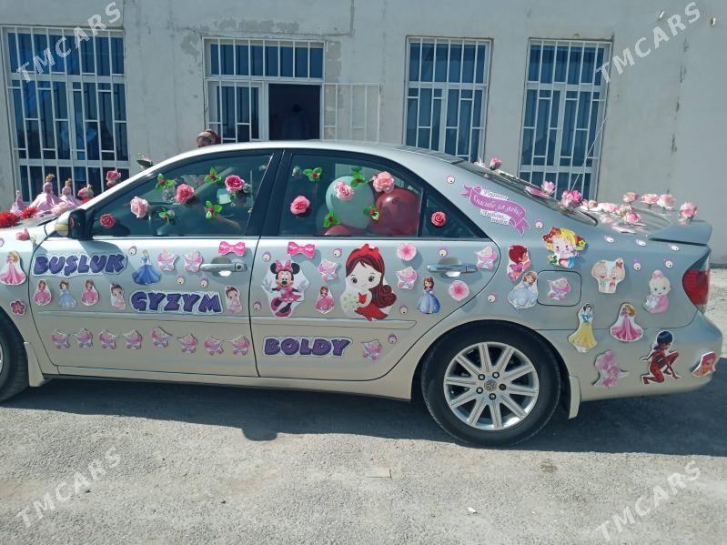 maşyn bezegler - Büzmeýin - img 10