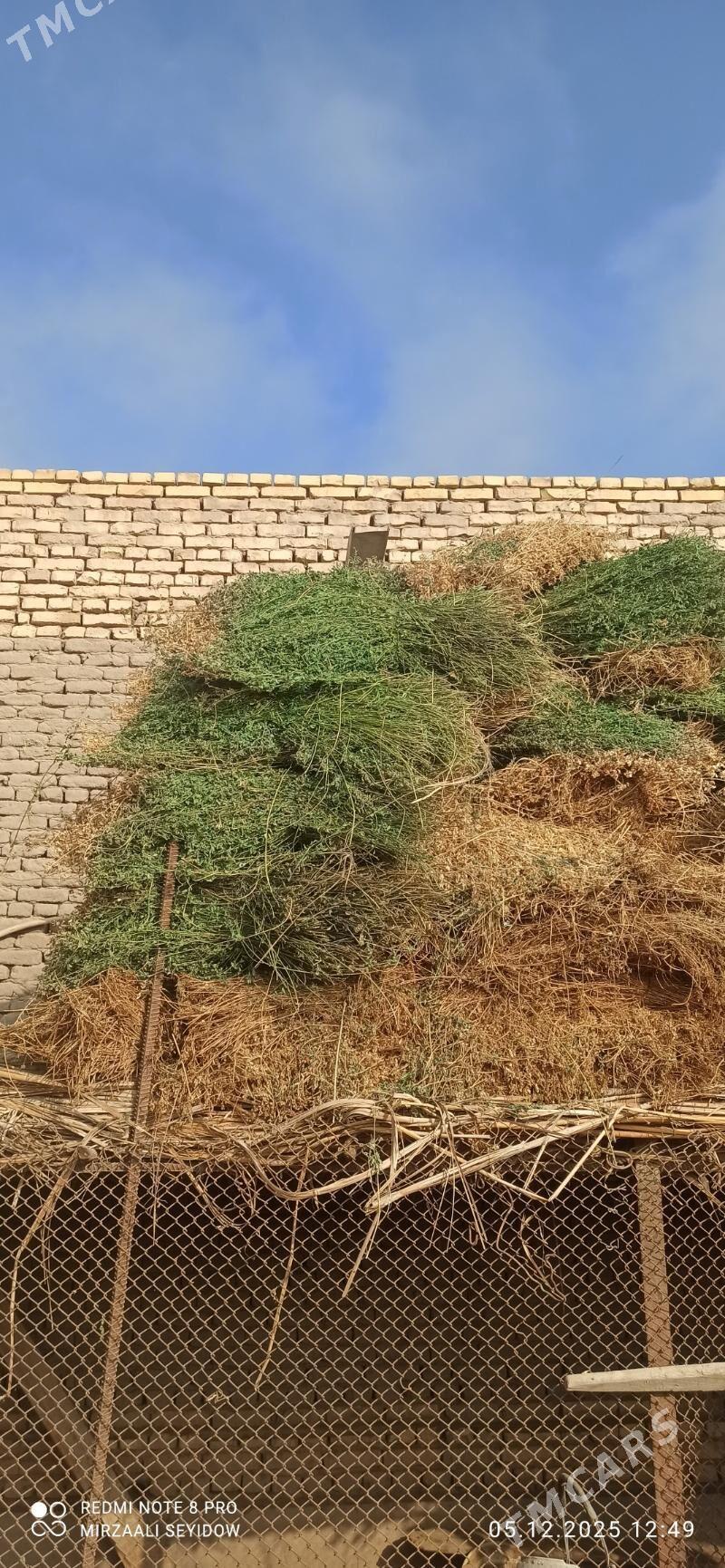 yorunja - Дашогуз - img 2