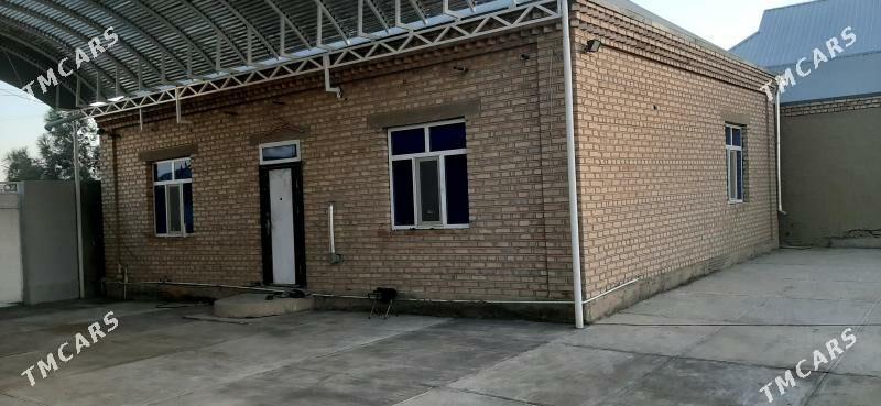 Baherden satlyk jay - Bäherden - img 5