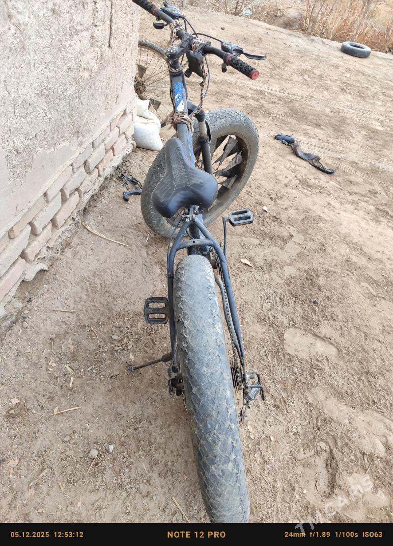 tigir - Gubadag - img 2