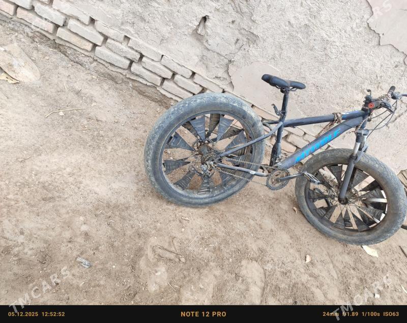 tigir - Gubadag - img 3