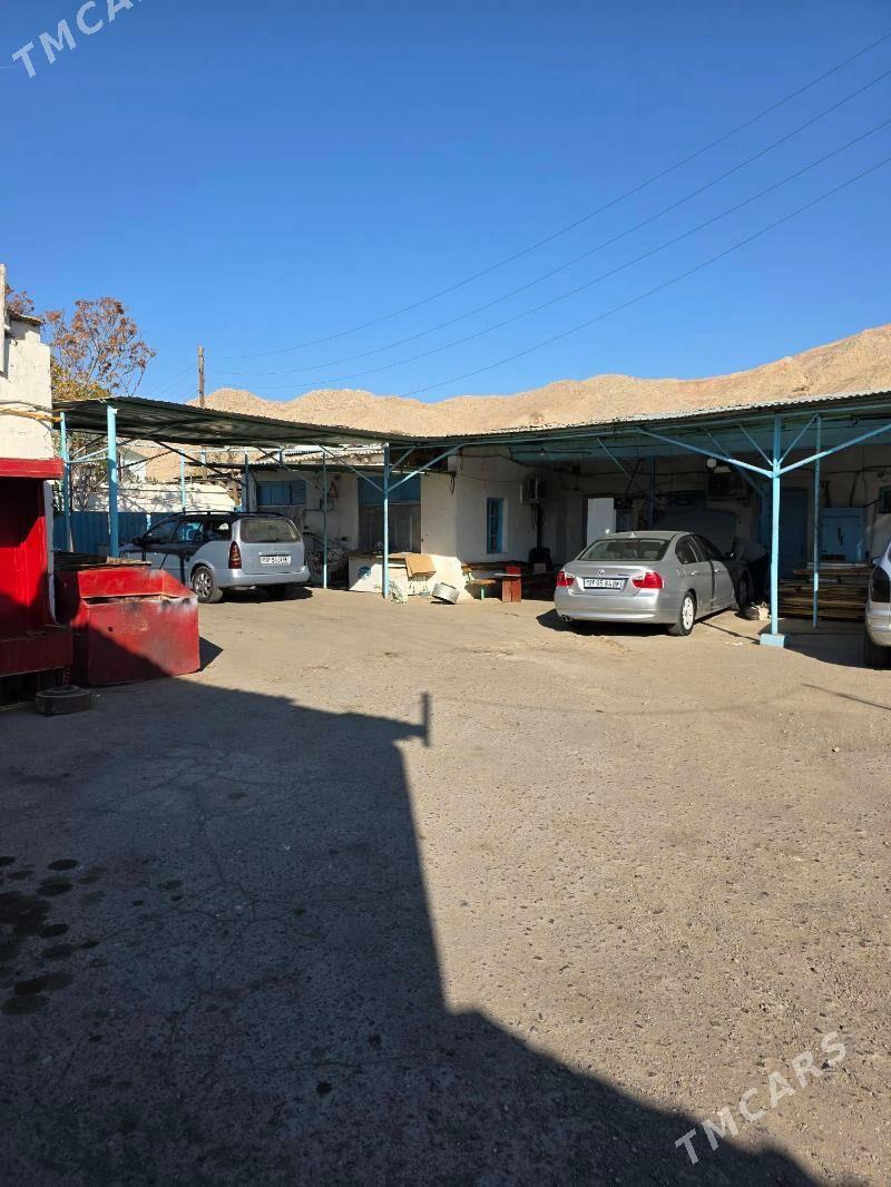 продается готовый бизнес - Туркменбаши - img 2