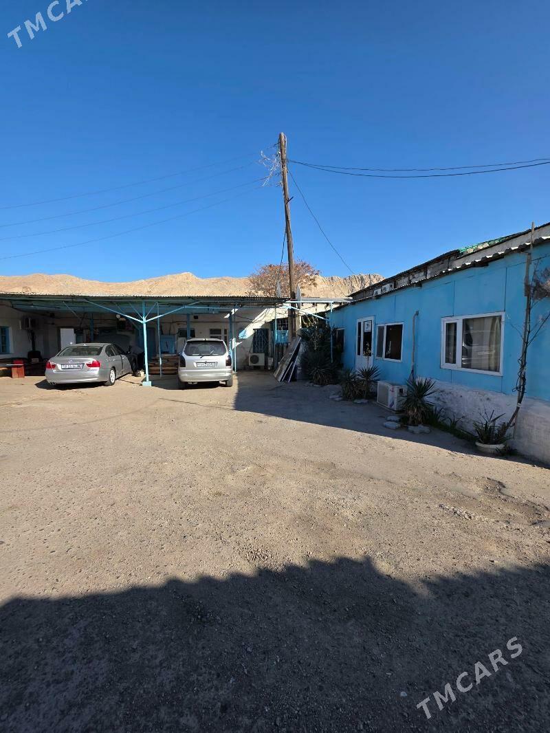 продается готовый бизнес - Туркменбаши - img 3