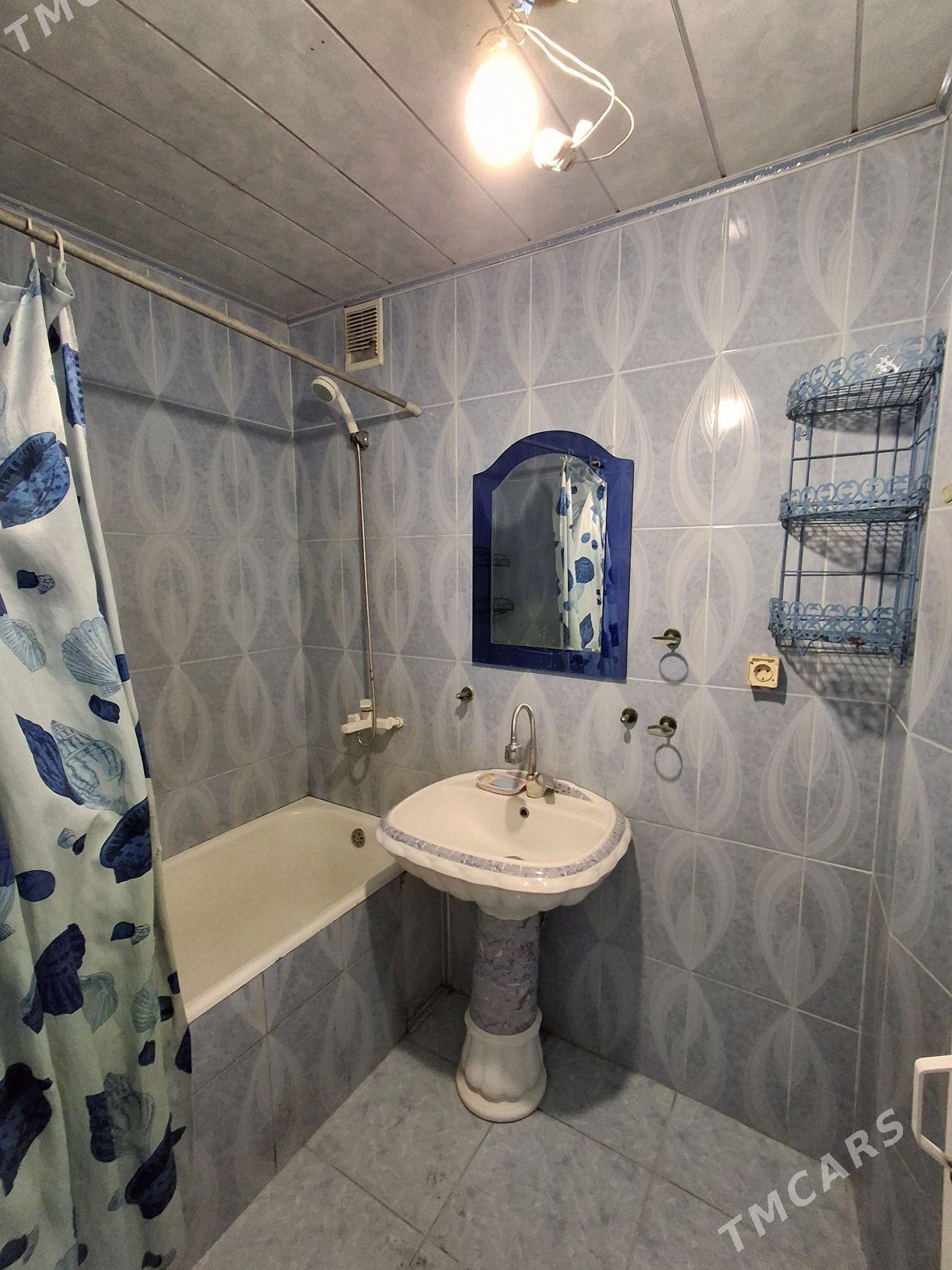 satlyk jaý eýesinden - Mary - img 6