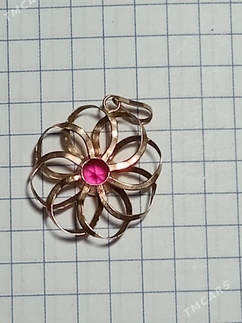 Klon gyzyl - Aşgabat - img 2