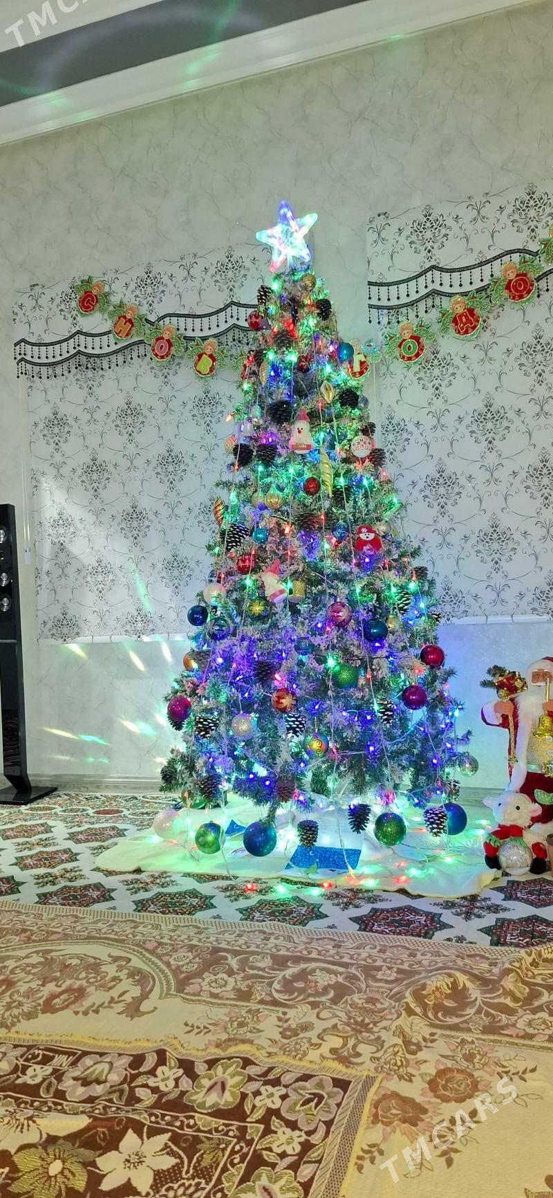 Yolka taze ÿyl - Гуртли - img 2