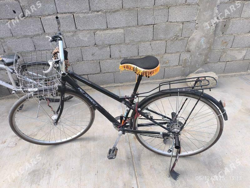 tigir hereyrama - Çoganly - img 3