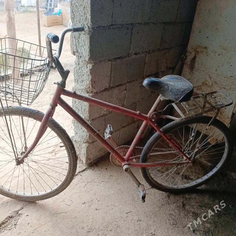 Tigir - Чоганлы - img 2