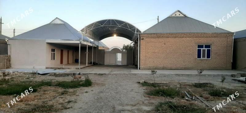 Baherden - Bäherden - img 3