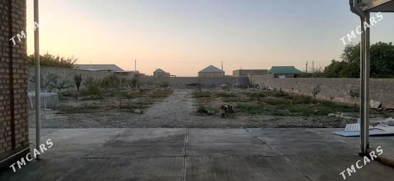 Baherden - Bäherden - img 7