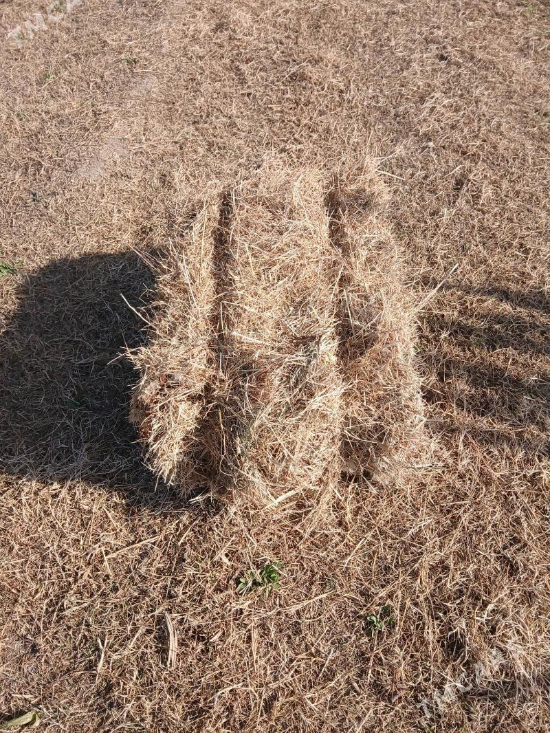 kip - Türkmenabat - img 2