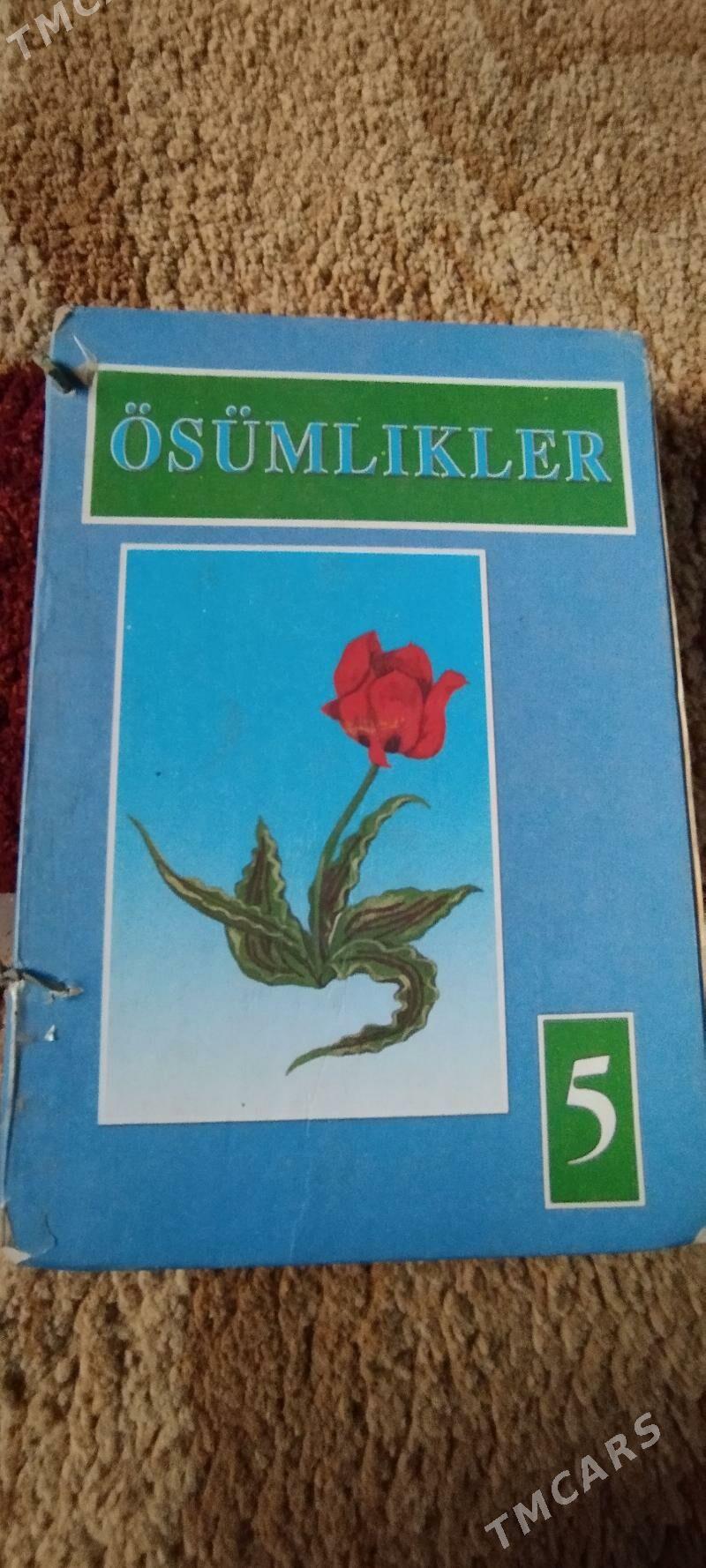 Книги - Ашхабад - img 8