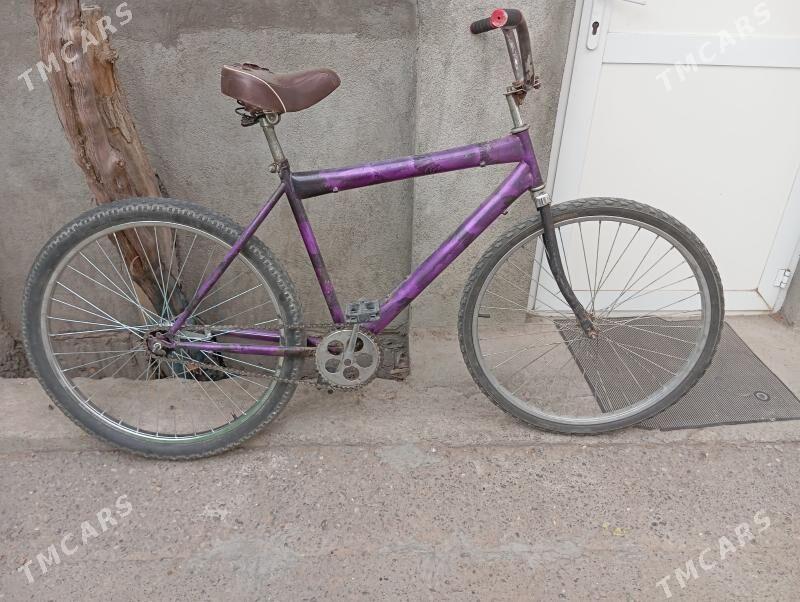 tigir   uly welik тигир - Bedew - img 2