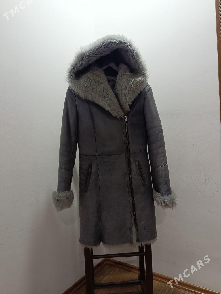 Dublýonka - Daşoguz - img 2