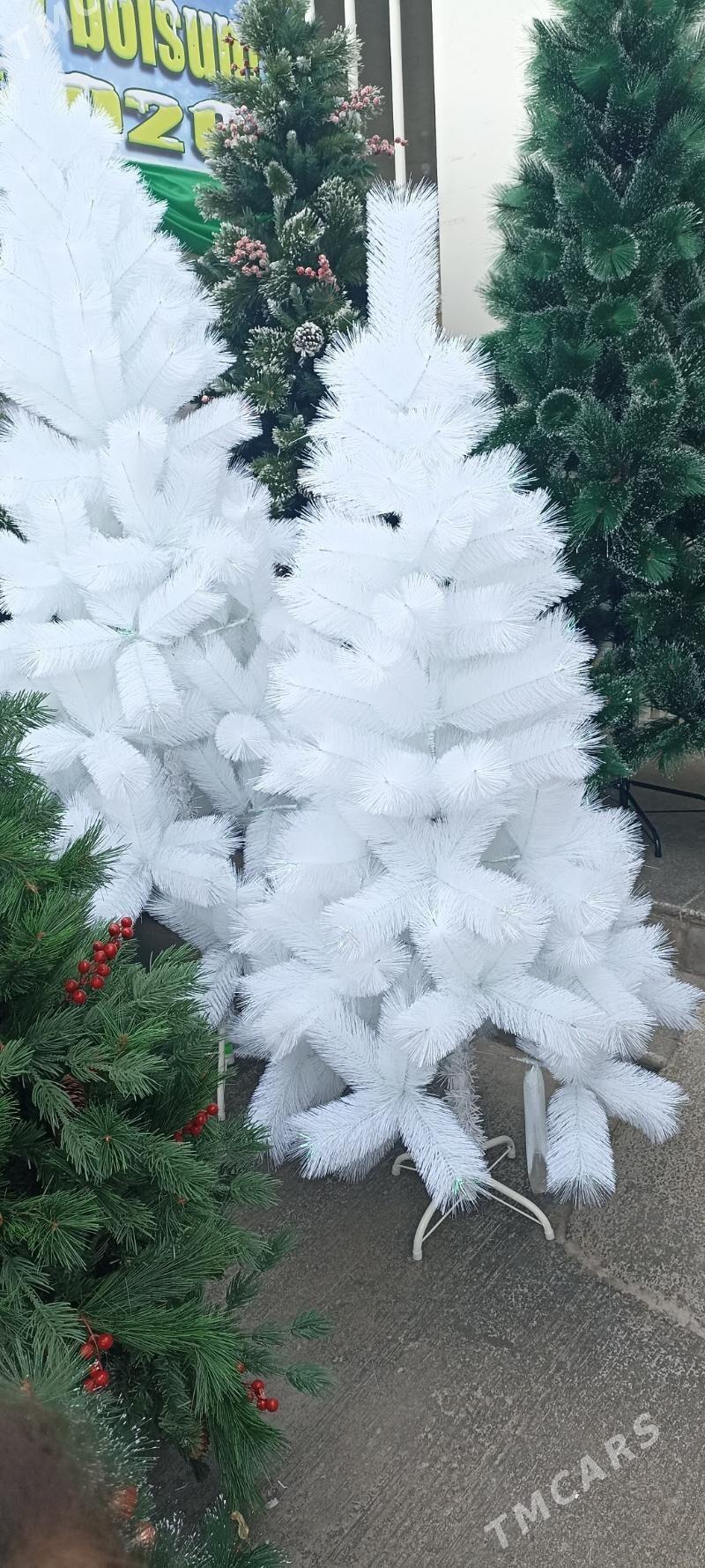 yolka - Büzmeýin GRES - img 2