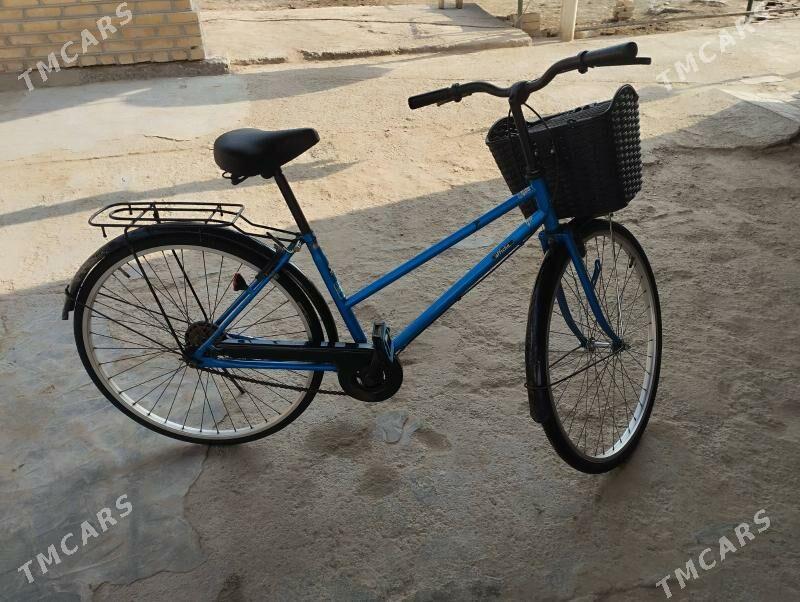 welsepet 26 lk - Mary - img 4