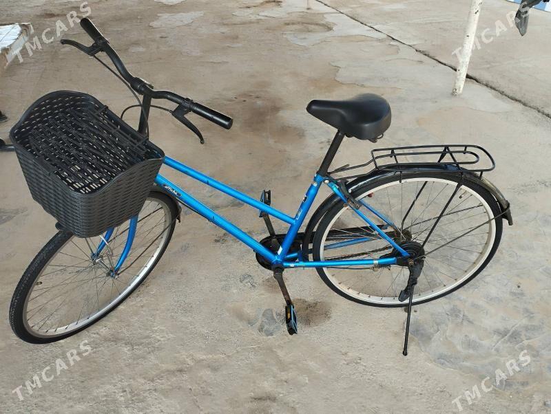 welsepet 26 lk - Mary - img 3