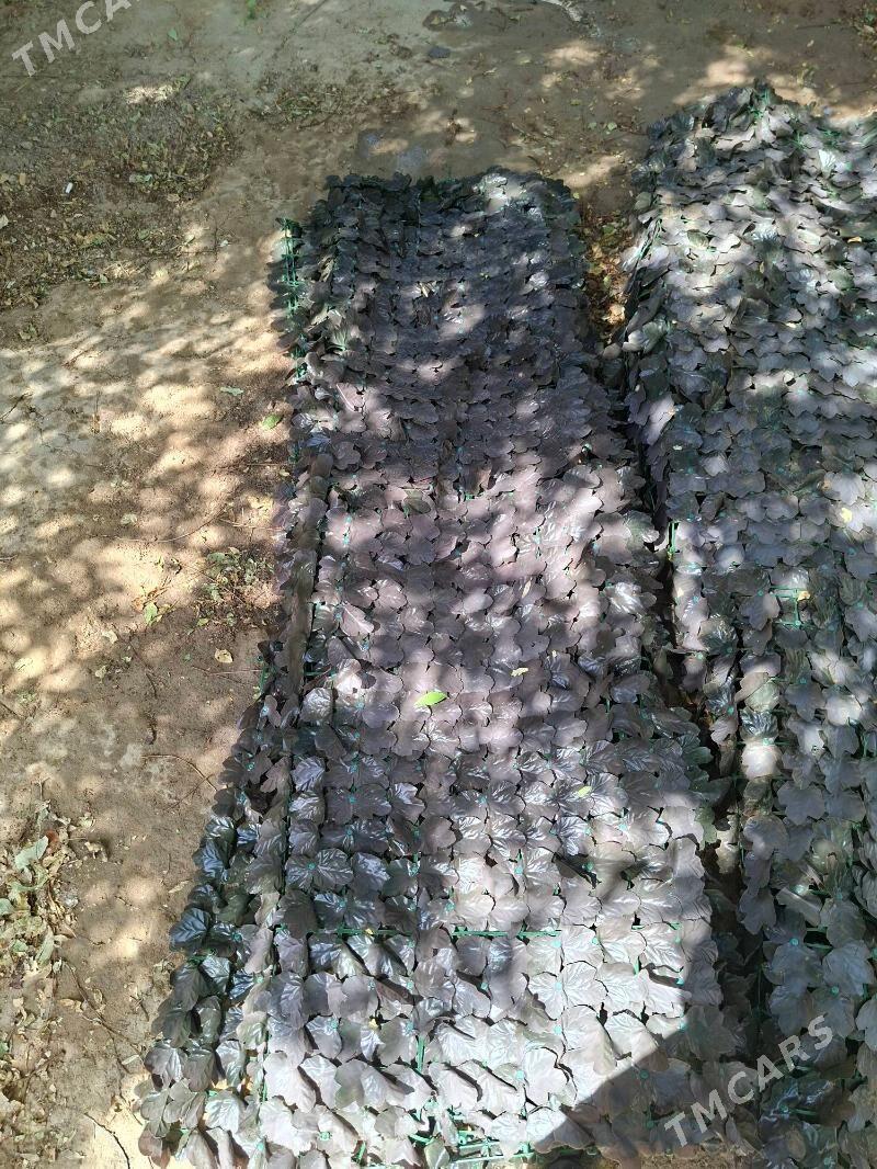 Nawesa Dakylyan Yaprak - Ашхабад - img 3