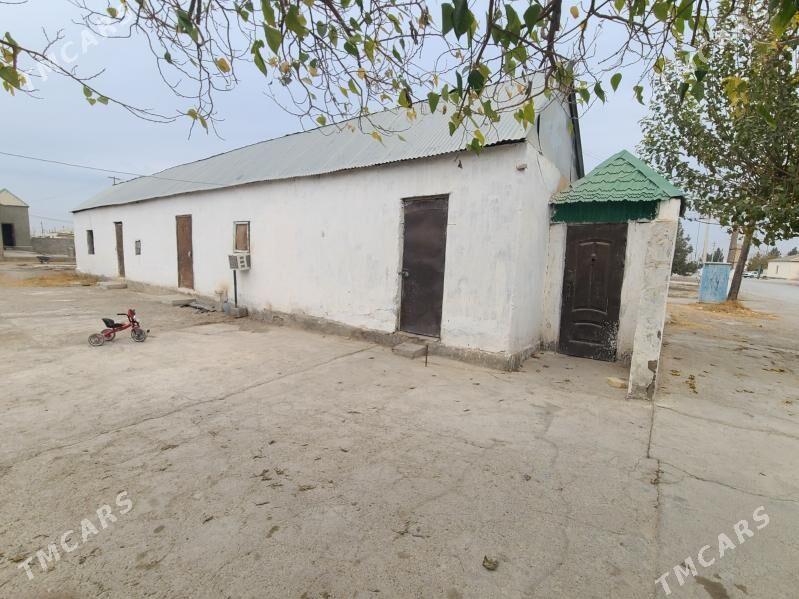 Gokdepe jay - Гёкдепе - img 1