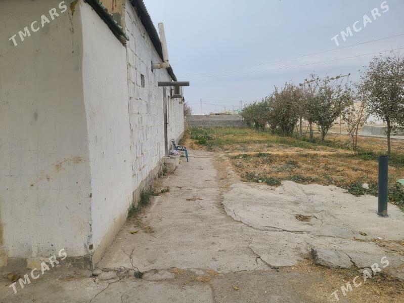 Gokdepe jay - Гёкдепе - img 2