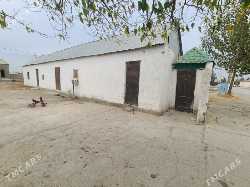 Gokdepe jay - Гёкдепе - img 3