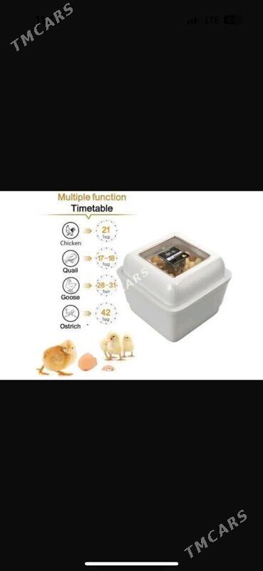 inkubator - Howdan "W" - img 3