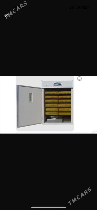 inkubator - Howdan "W" - img 2