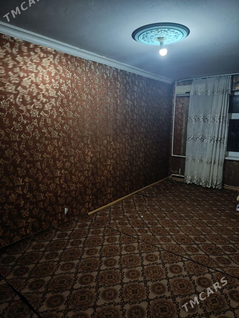 Arenda jay - Mary - img 2