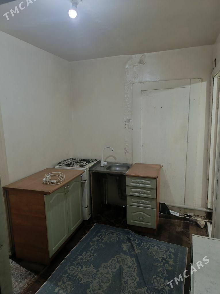 Arenda jay - Mary - img 4