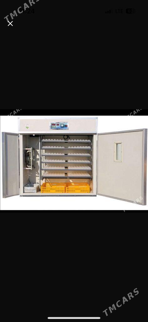 incubator - Parahat 7 - img 4