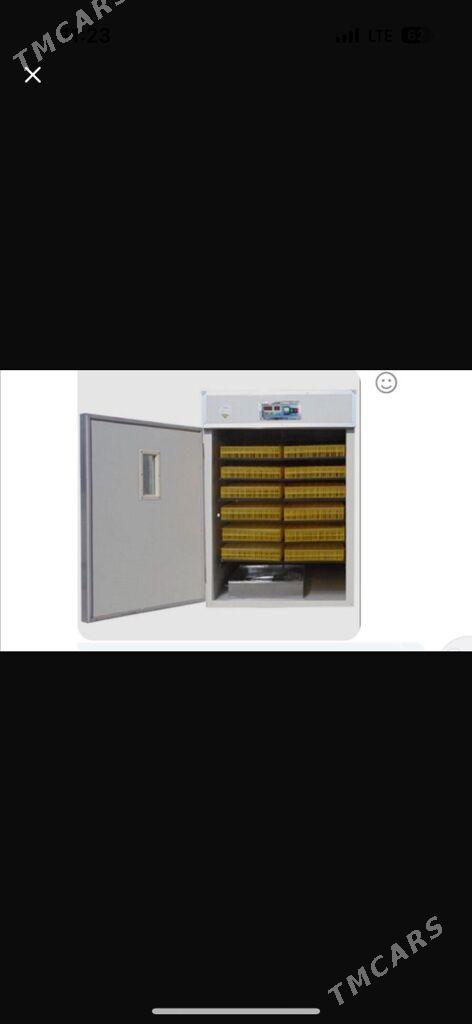 incubator - Parahat 7 - img 3