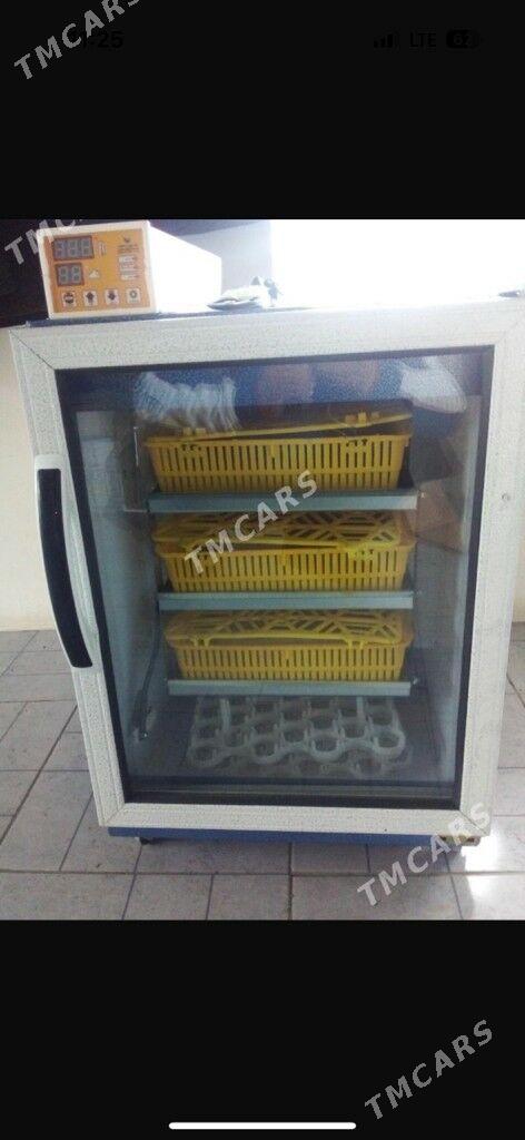 incubator - Parahat 7 - img 2