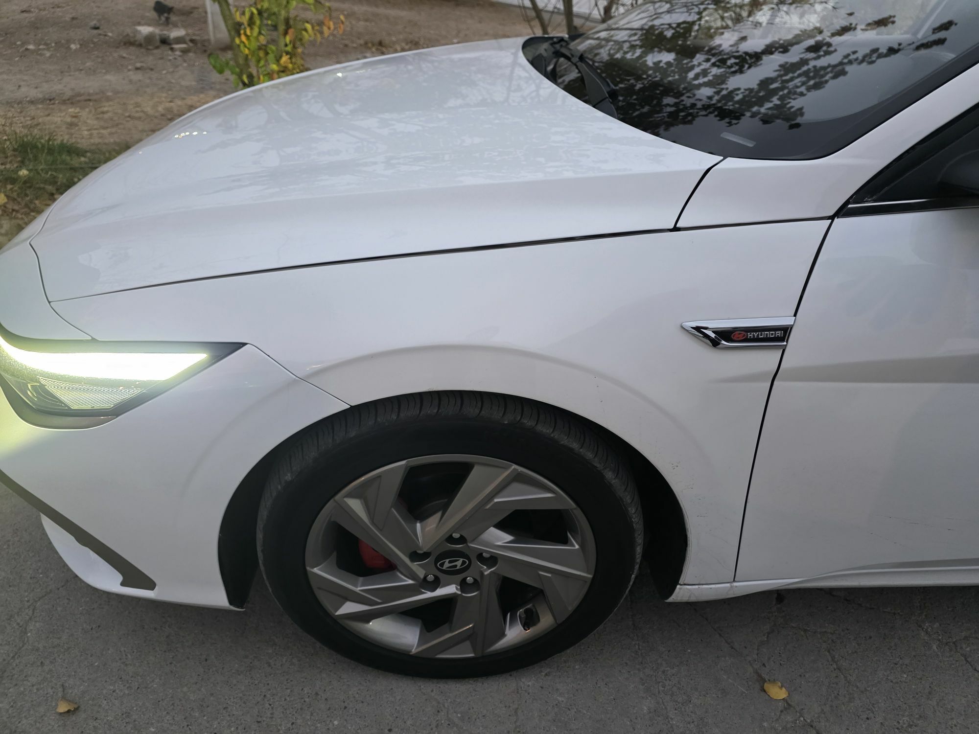 Elantra banan 300 TMT - Aşgabat - img 5