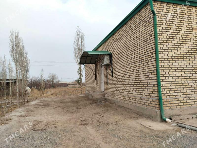 жай сатыляр - Görogly (Tagta) - img 9