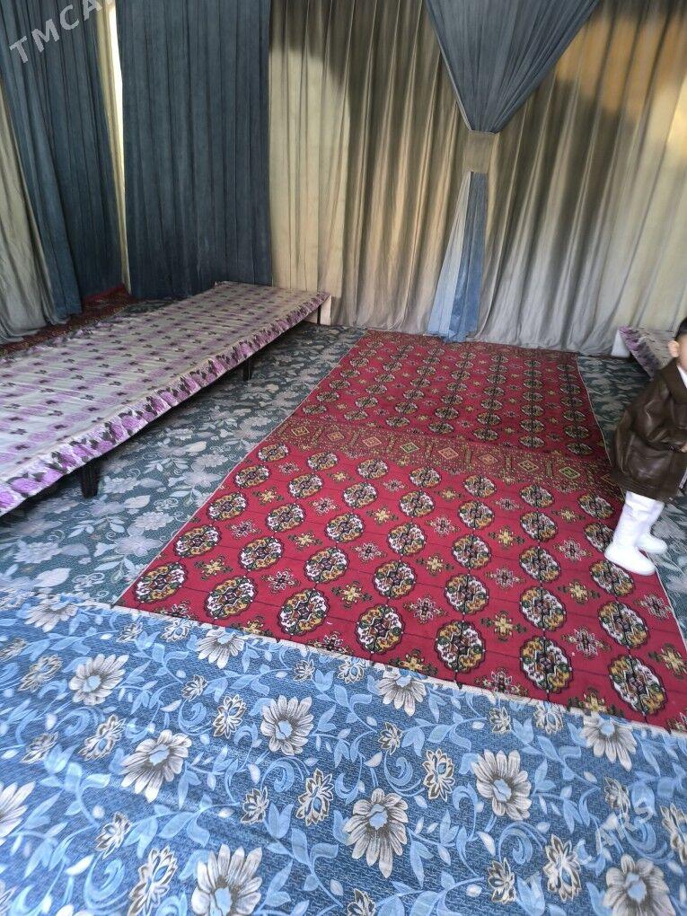 palatga - Кëши - img 3