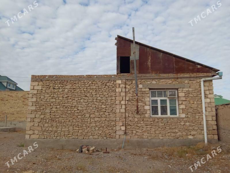 Jay - Gyzylarbat - img 4