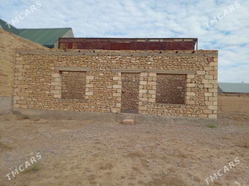 Jay - Gyzylarbat - img 2