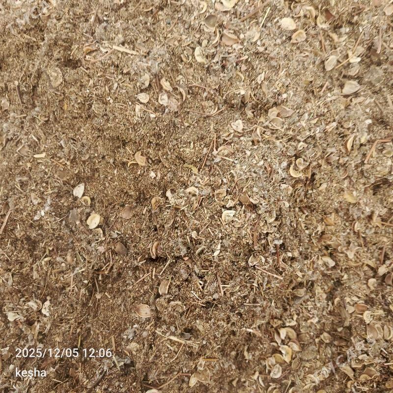 okuz - Bäherden - img 5