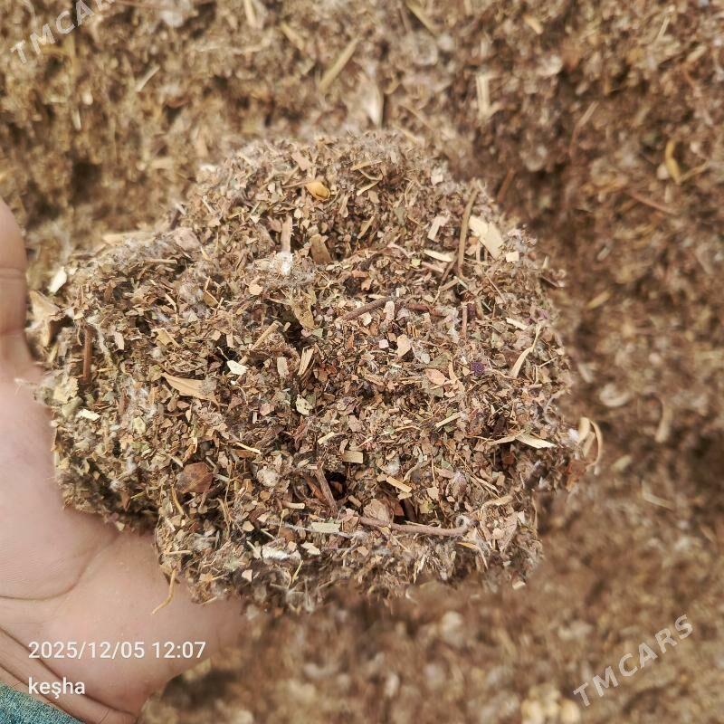 okuz - Bäherden - img 4