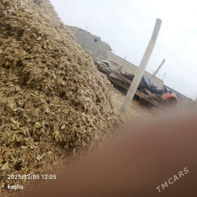 okuz - Bäherden - img 2