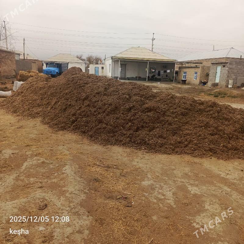 okuz - Bäherden - img 6