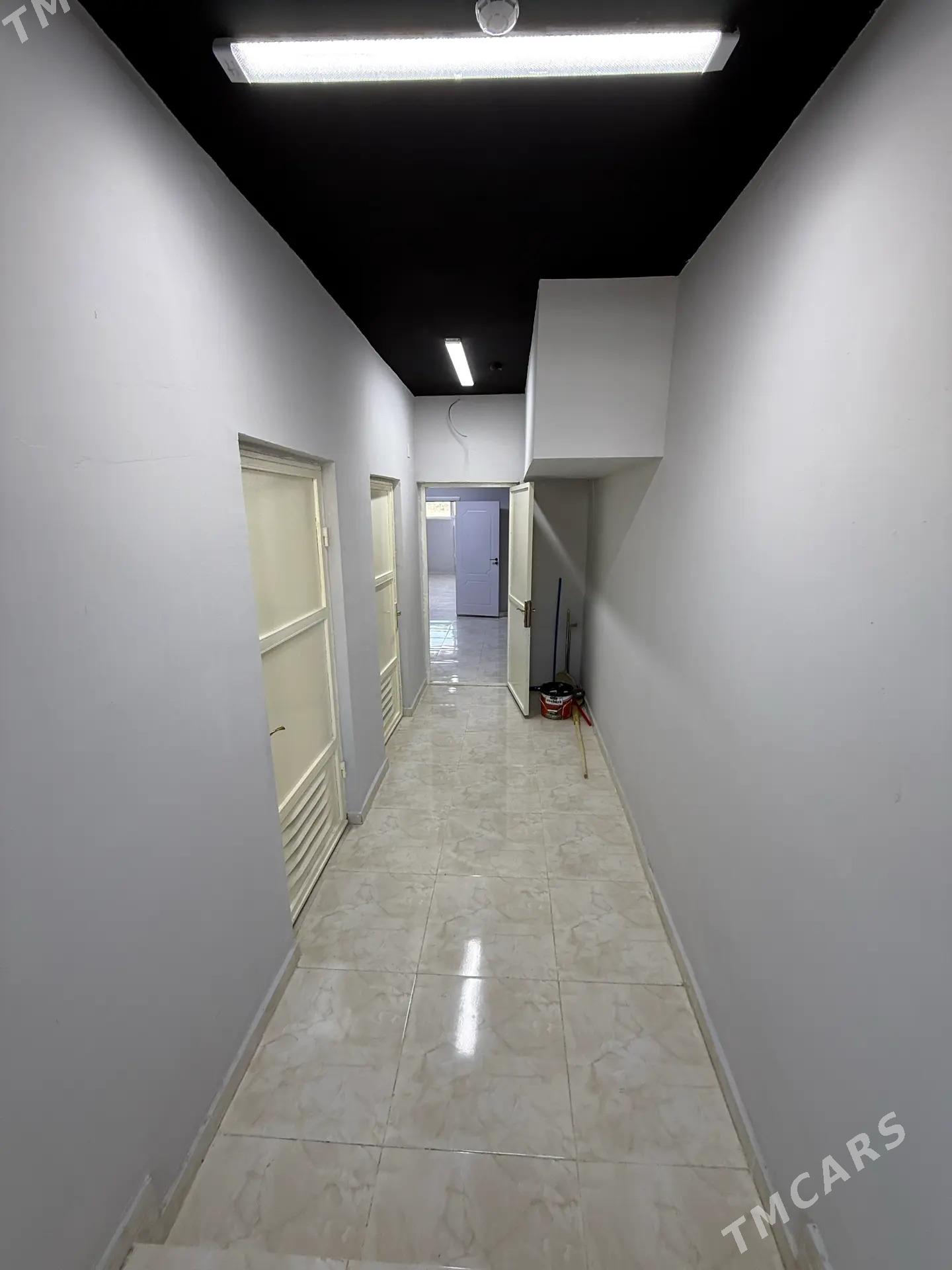 Gurtly Padwal - Ашхабад - img 6