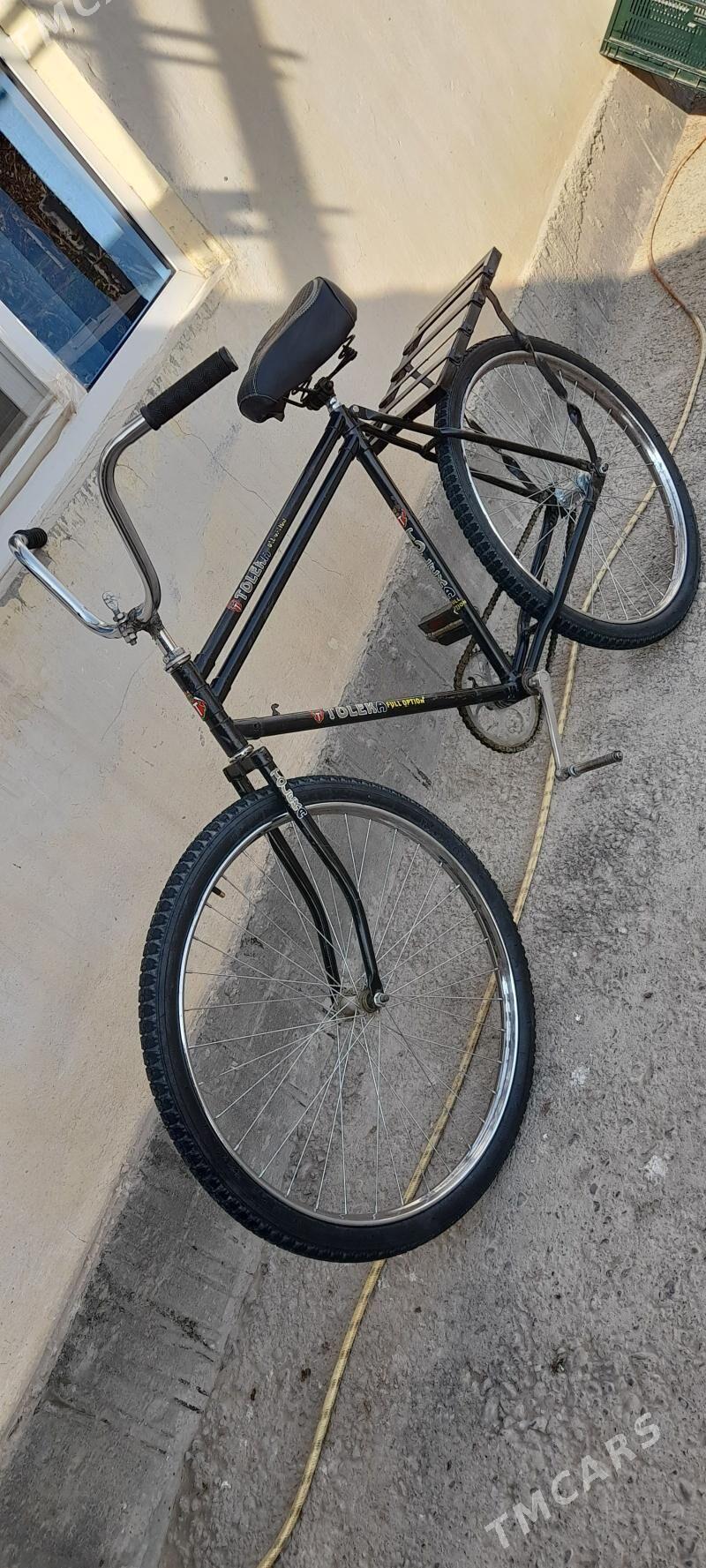 tigir - Гёкдепе - img 2