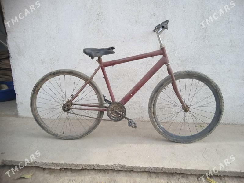 tigir - Кëши - img 3